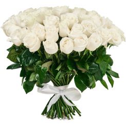 Розы на морозе из белых роз